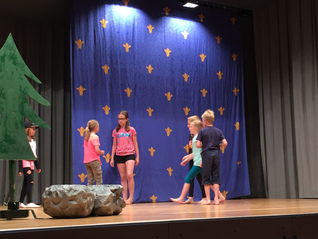 Der Zauberstei im Trollefäll 2018 - Foto 9