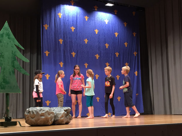 Der Zauberstei im Trollefäll 2018 - Foto 10