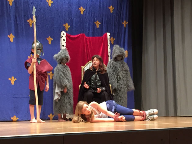 Der Zauberstei im Trollefäll 2018 - Foto 14