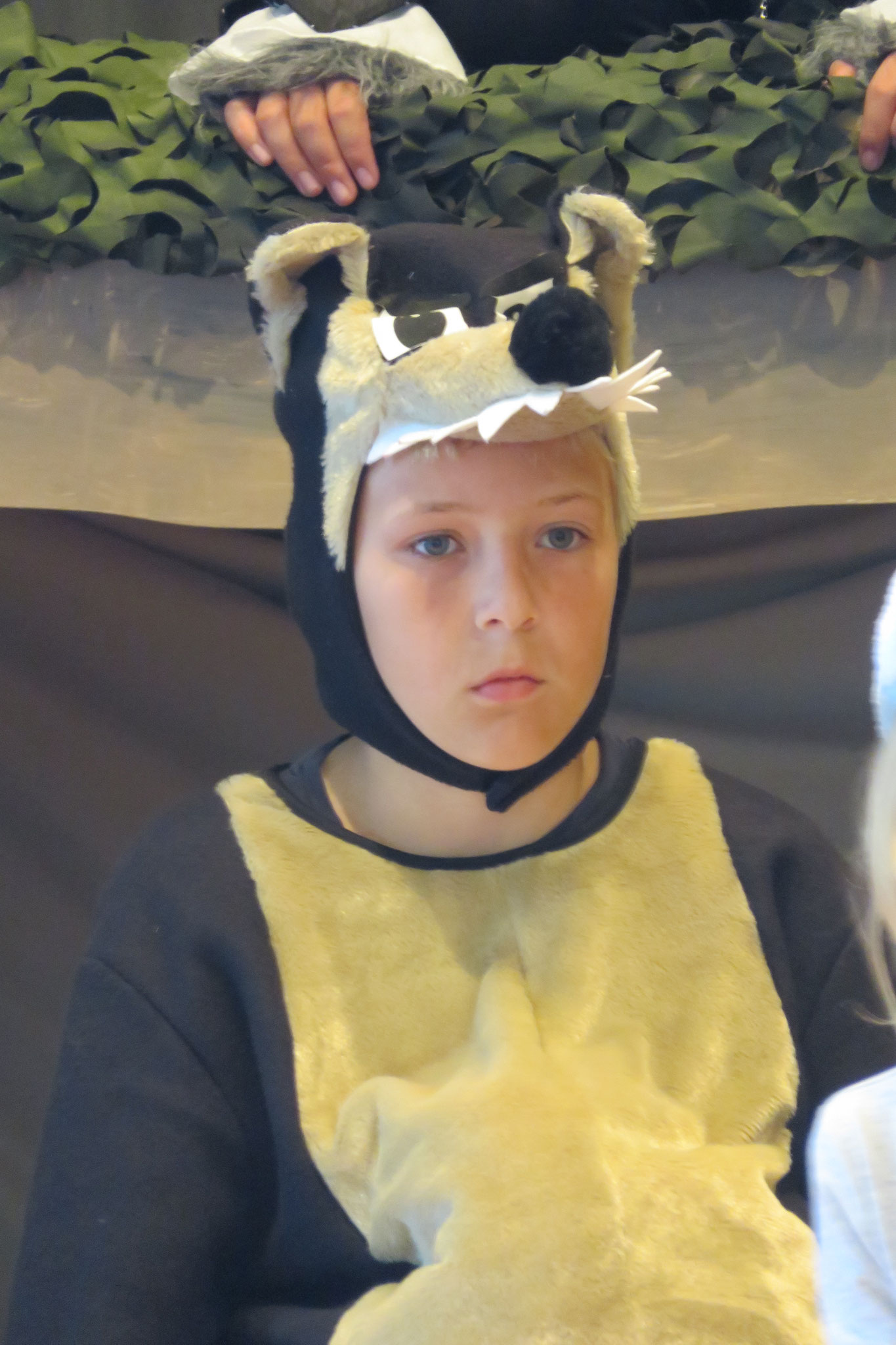 Das Dschungelbuch 2021 - Foto 8