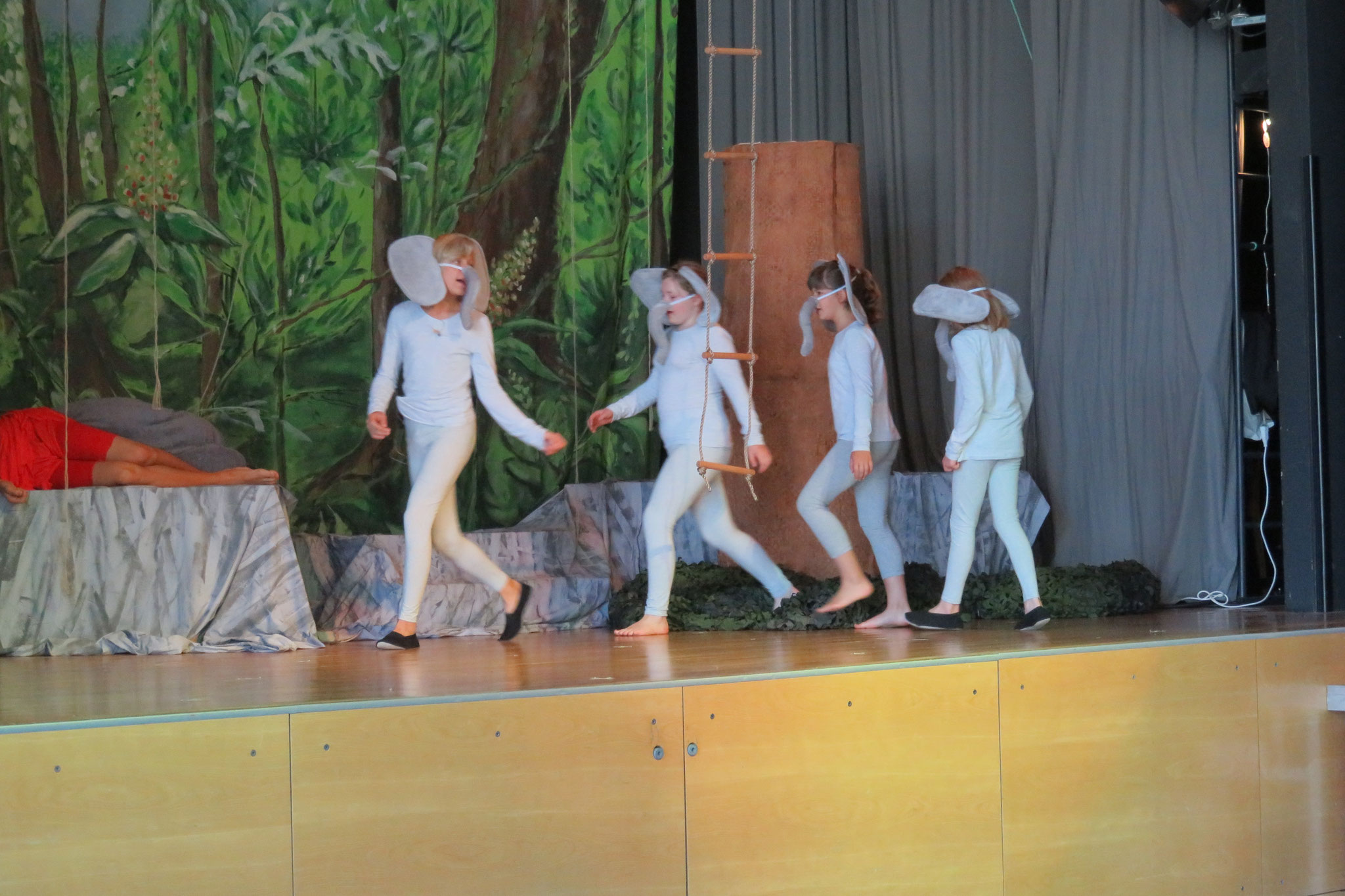 Das Dschungelbuch 2021 - Foto 53